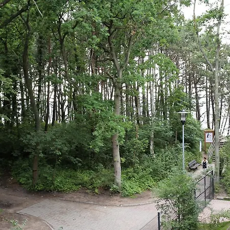 Apartment Dwie Sosny 1 -