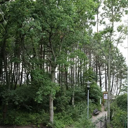 Dwie Sosny 1 - Apartment