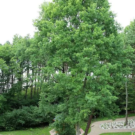 Dwie Sosny 1 - Apartment *