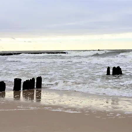 Dwie Sosny 1 - Apartment